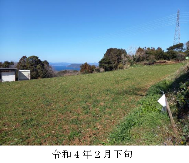 イタリアンライグラス|きららワセ