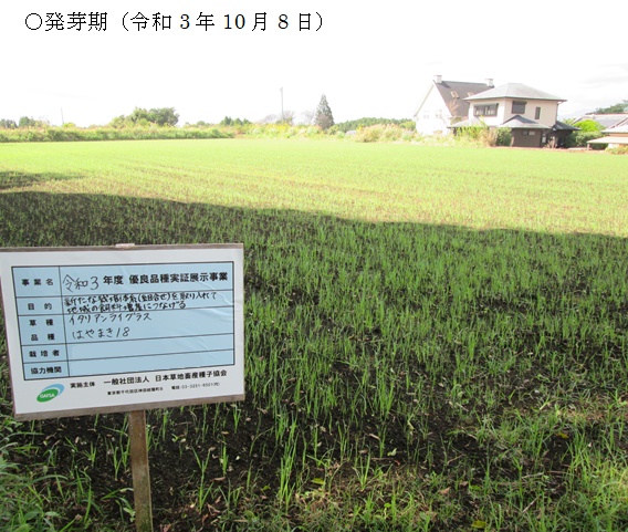 イタリアンライグラス+エンバク|はやまき18+たちあかね