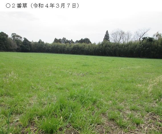 イタリアンライグラス+エンバク|はやまき18+たちあかね