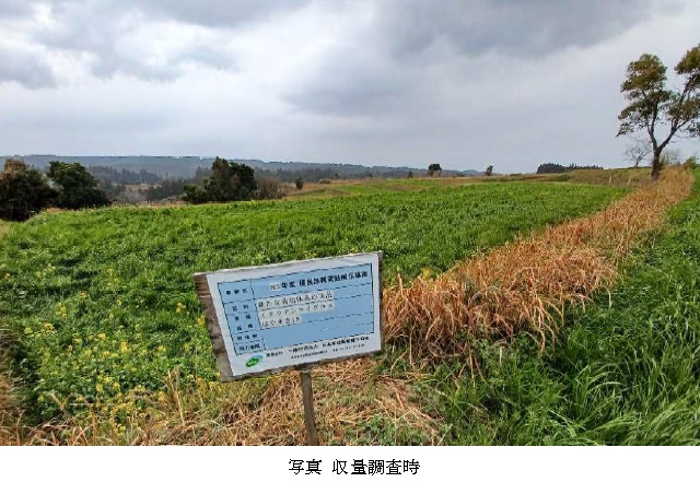 イタリアンライグラス|はやまき18