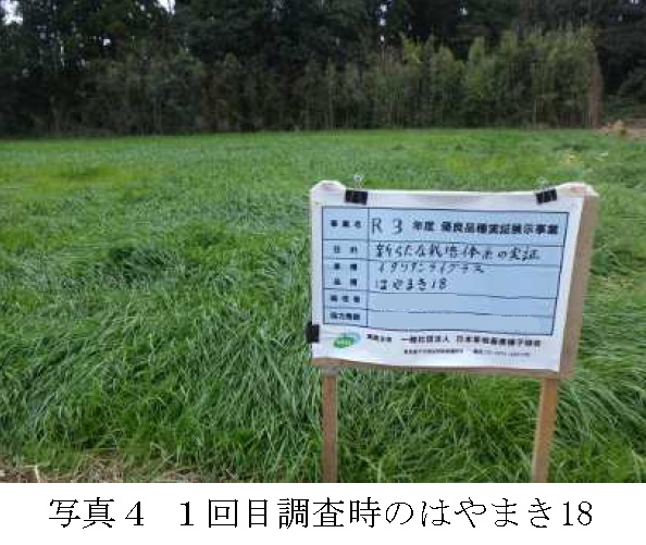 イタリアンライグラス|Kyushu 1・はやまき18