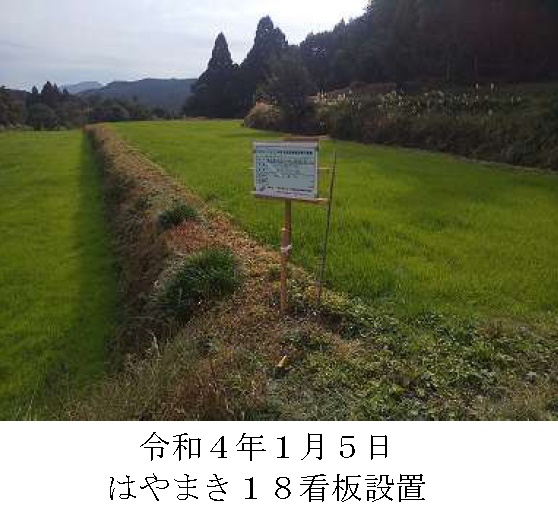 イタリアンライグラス|はやまき18