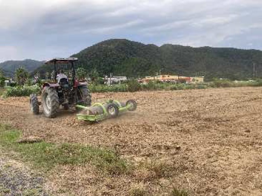 イタリアンライグラス|きららワセ