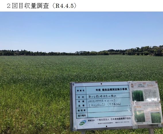 イタリアンライグラス+エンバク|Kyushu 1+たちあかね