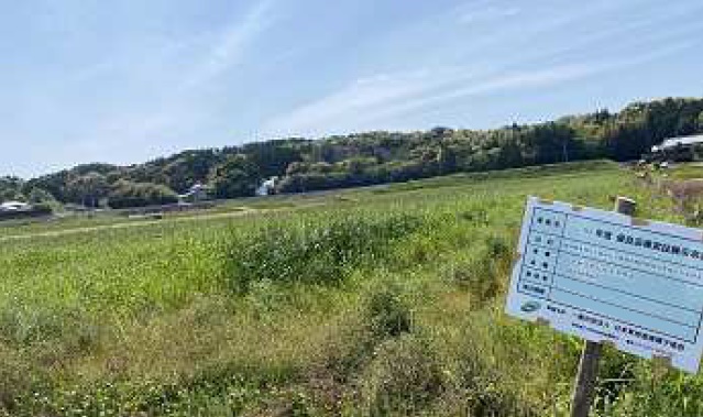 イタリアンライグラス|Kyushu 1