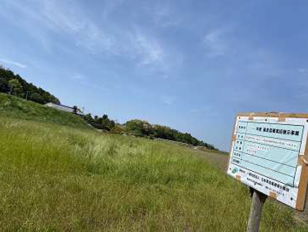 イタリアンライグラス|きららワセ