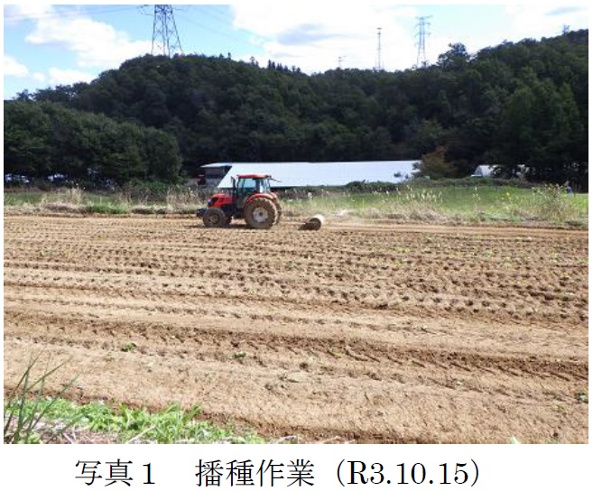 フェストロリウム|東北1号