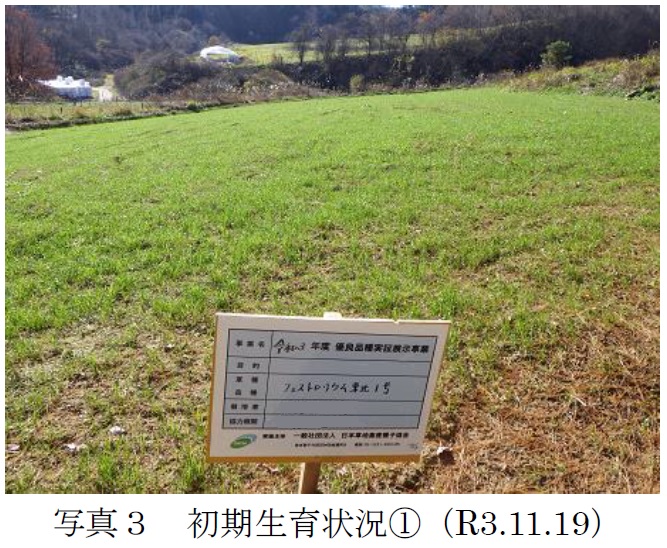 フェストロリウム|東北1号