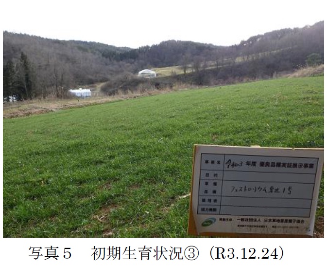 フェストロリウム|東北1号