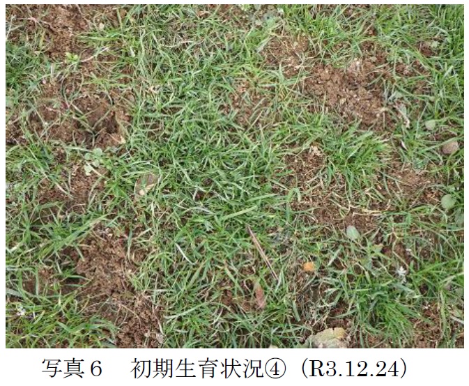 フェストロリウム|東北1号