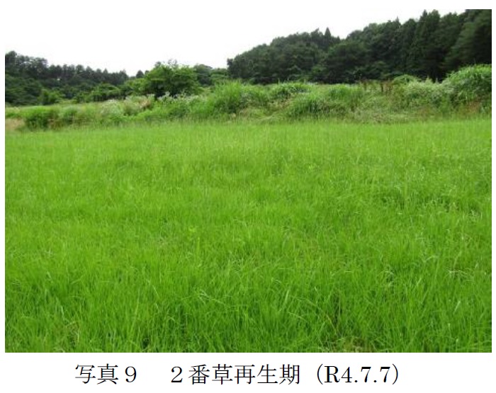 フェストロリウム|東北1号