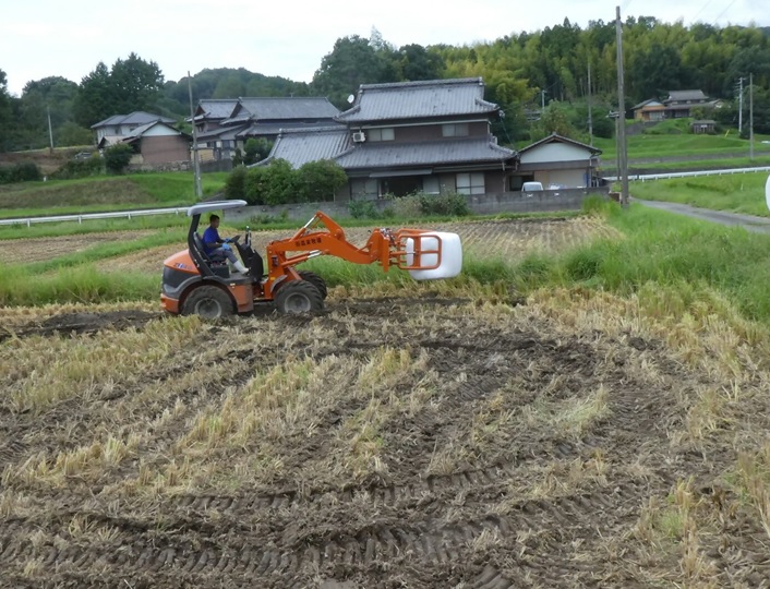 飼料用稲|つきすずか