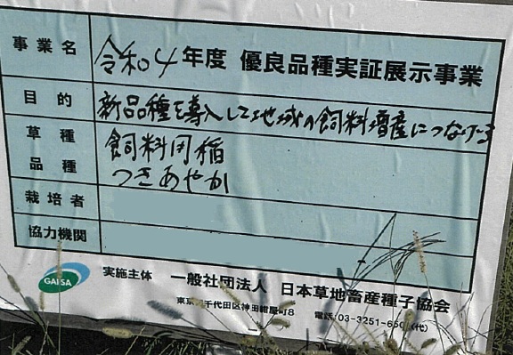 飼料用稲|つきあやか、ミナミユタカ