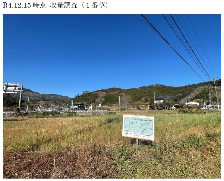 イタリアンライグラス+エンバク|はやまき18+たちあかね