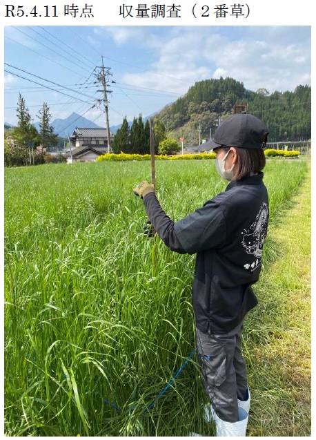 イタリアンライグラス+エンバク|はやまき18+たちあかね