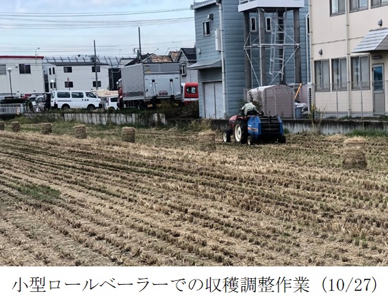 飼料用稲|つきすずか